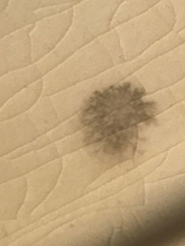 FUENTE DE SERVIR ANTIGUA