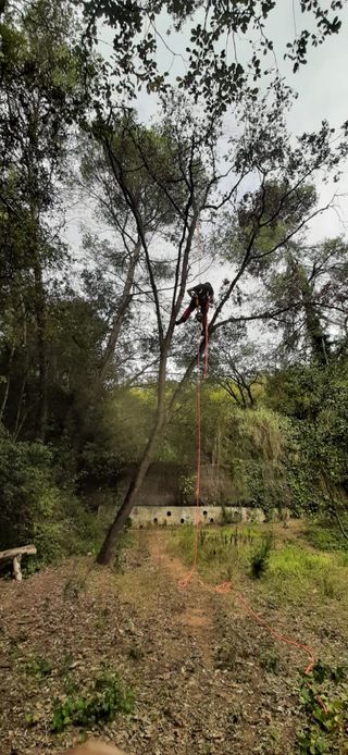 poda en altura