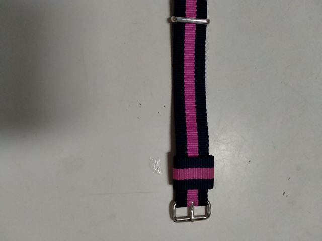 correa de reloj Daniel Welligton