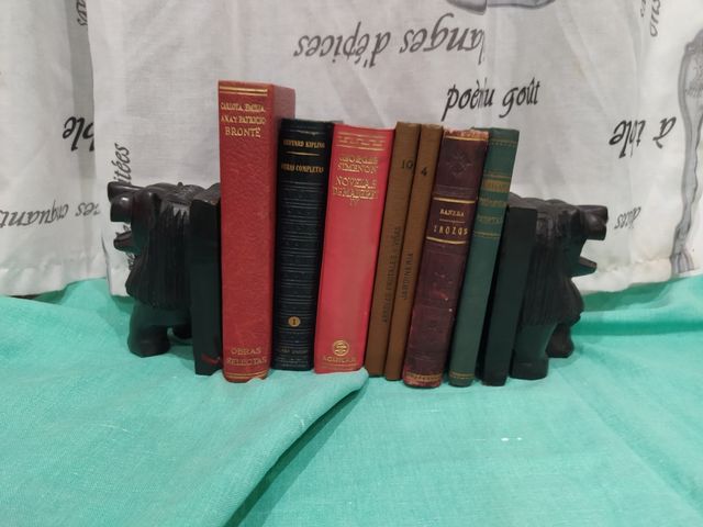 Leones Sujeta Libros Negro