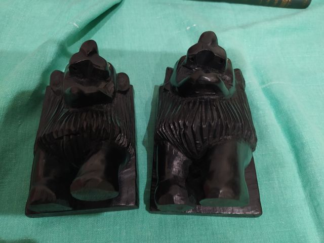 Leones Sujeta Libros Negro