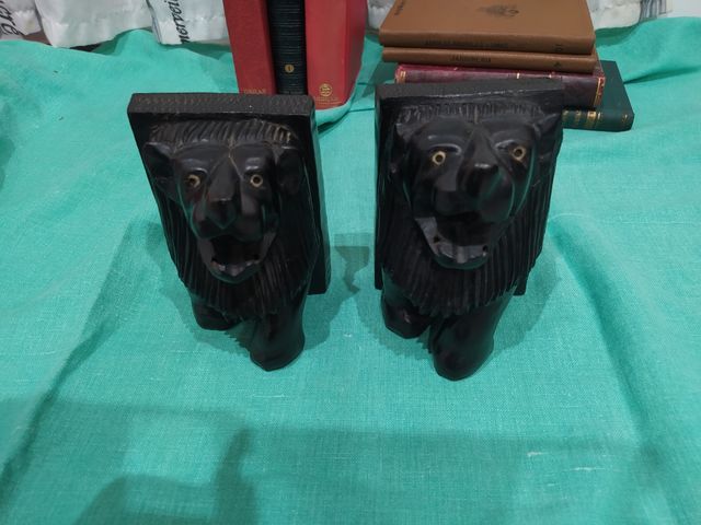 Leones Sujeta Libros Negro