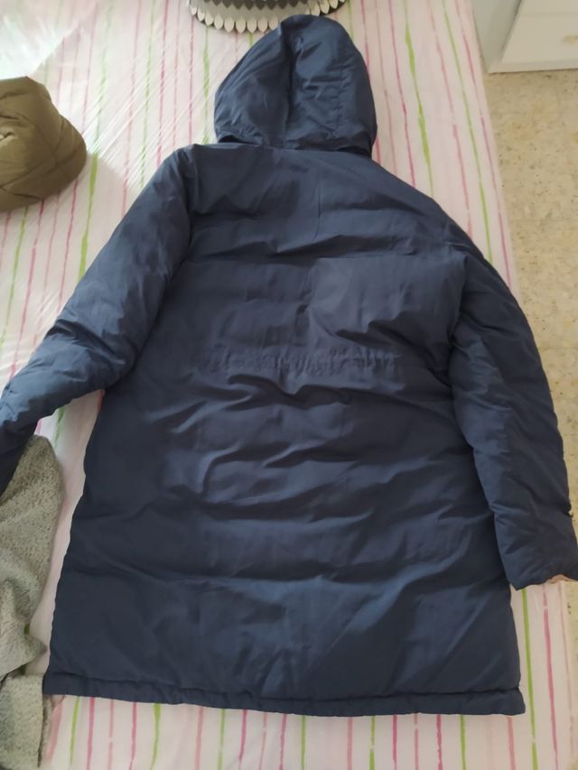 PLUMIFERO STRADIVARIUS