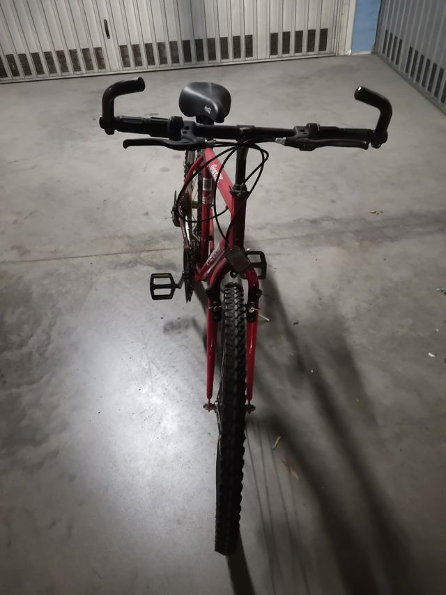 bicicletta mountain bike