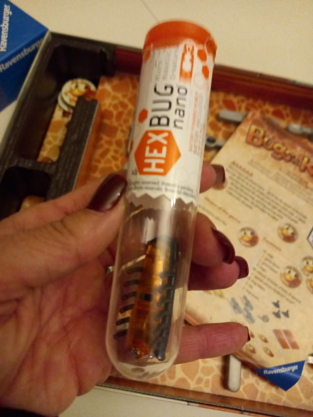 juego de mesa BUGS IN THE KITCHEN