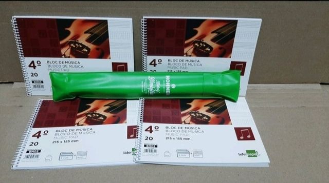 flauta Hohner 9508 funda verde + blocs música.