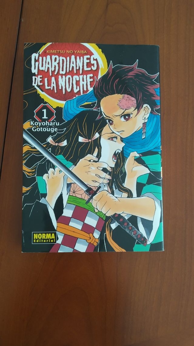 Guardianes de la noche 1