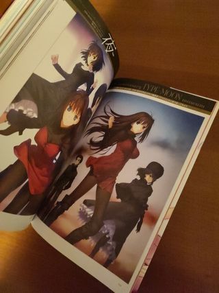 type moon 10th anniversary phantasm de segunda mano por 50 EUR en