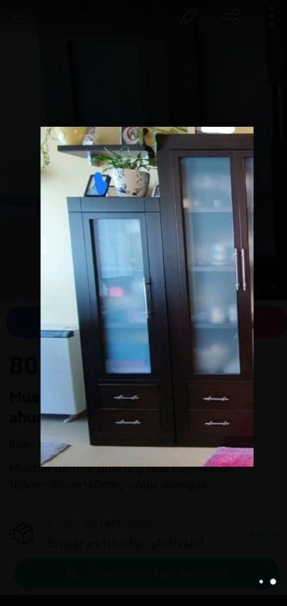 Mueble puerta simple de cristal ahumado