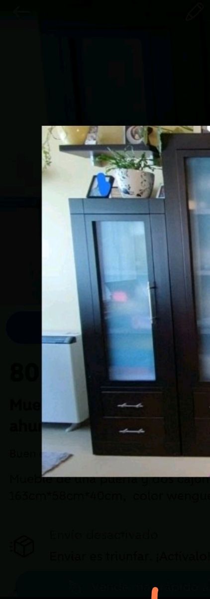 Mueble puerta simple de cristal ahumado