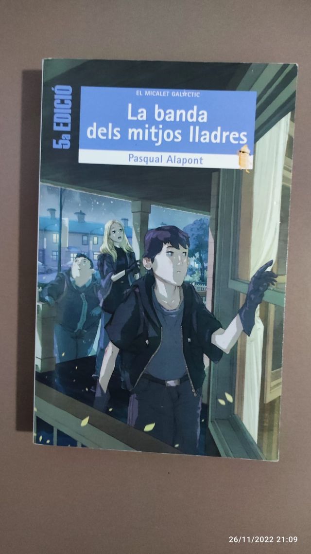 La banda dels mitjos lladres