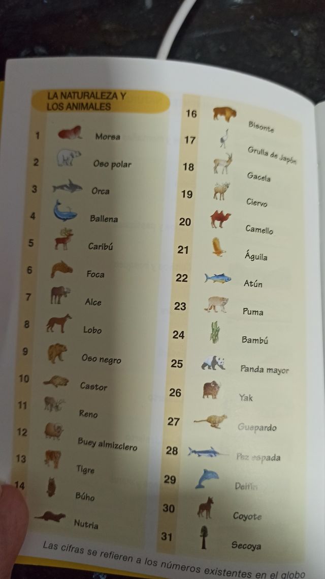 Globo politico ilustrado e iluminado