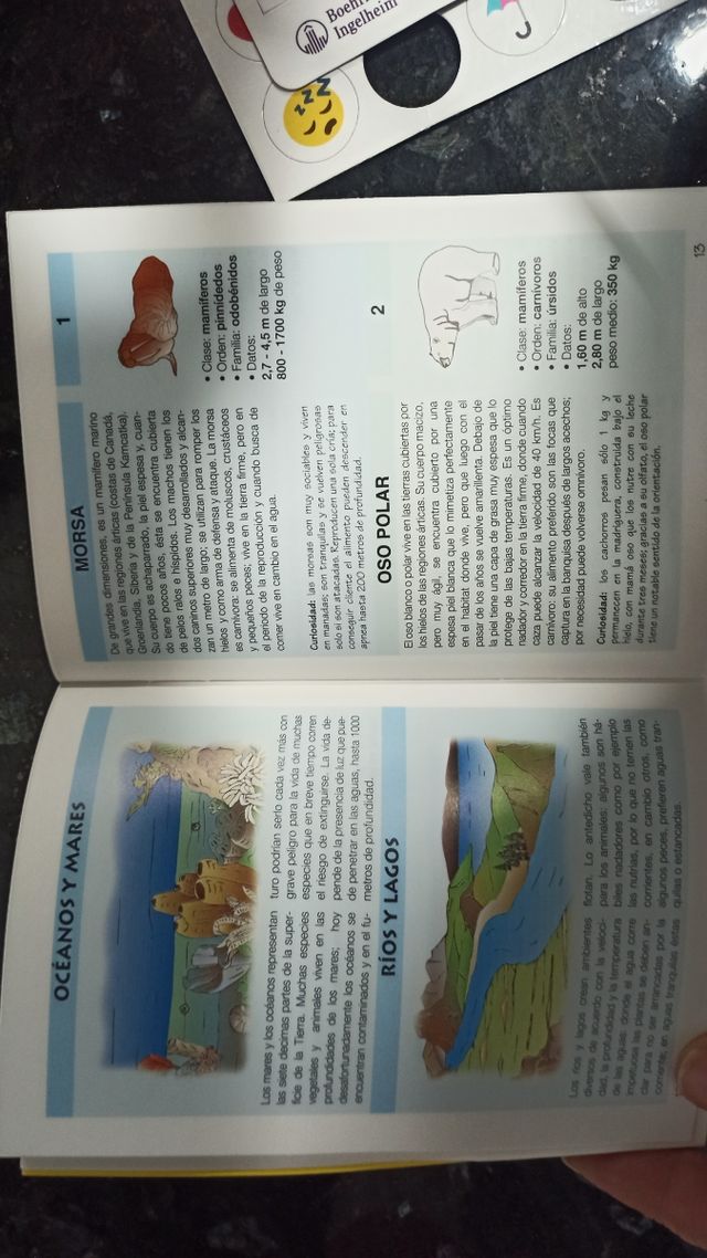 Globo politico ilustrado e iluminado