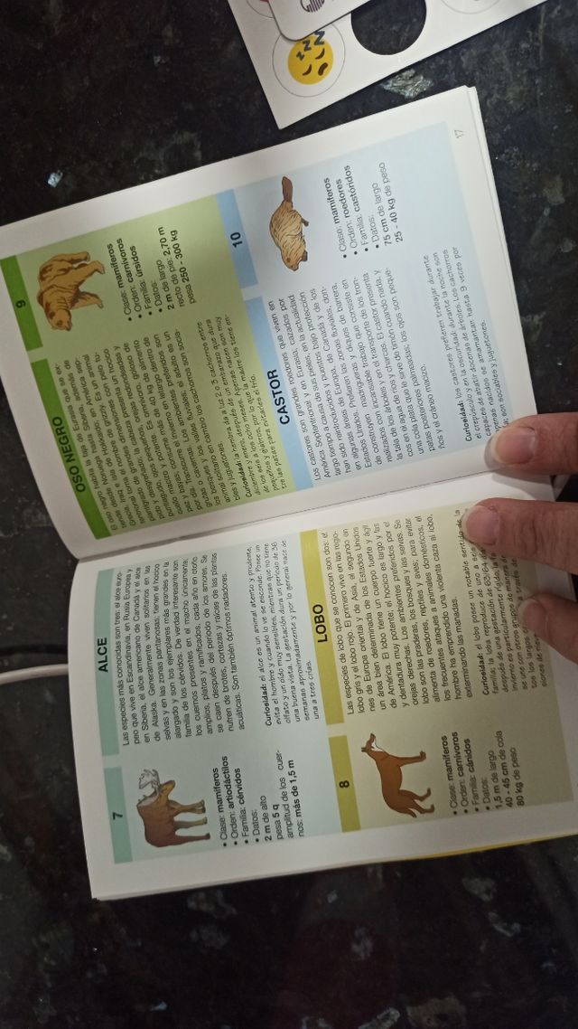 Globo politico ilustrado e iluminado