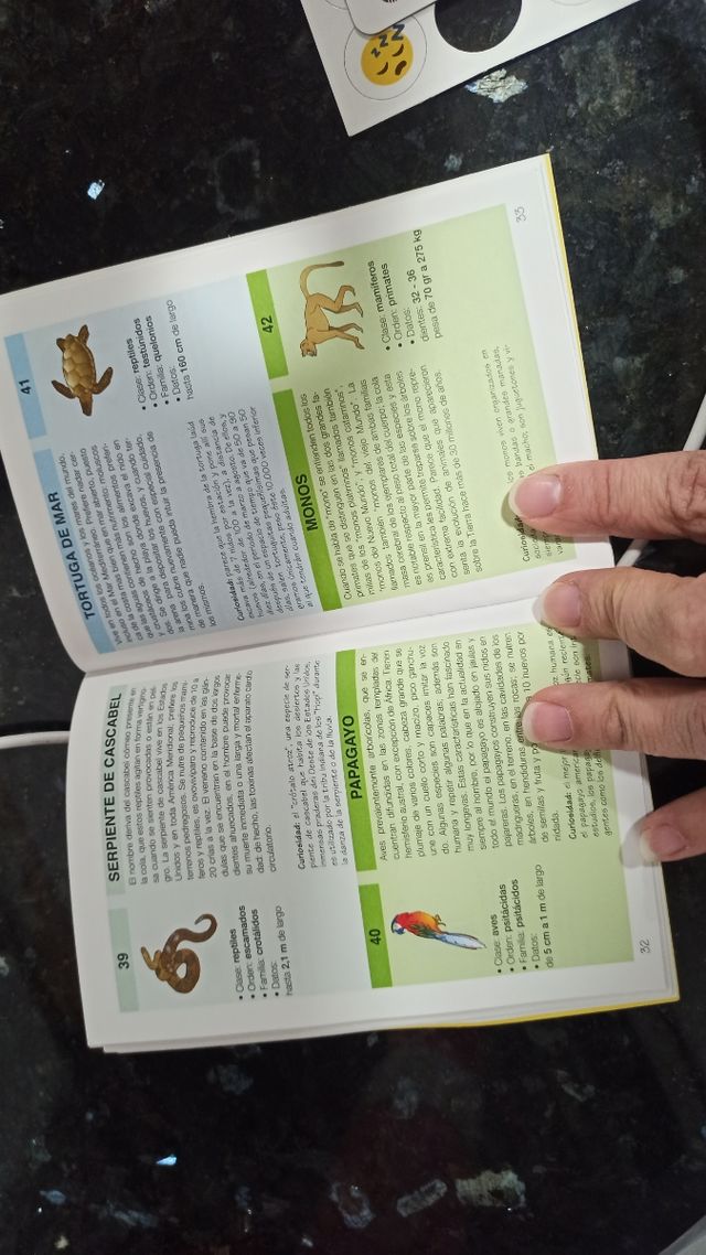 Globo politico ilustrado e iluminado