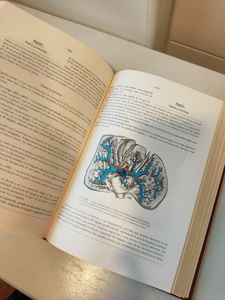 Anatomía humana H. Rouvière