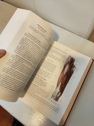 Anatomía humana H. Rouvière