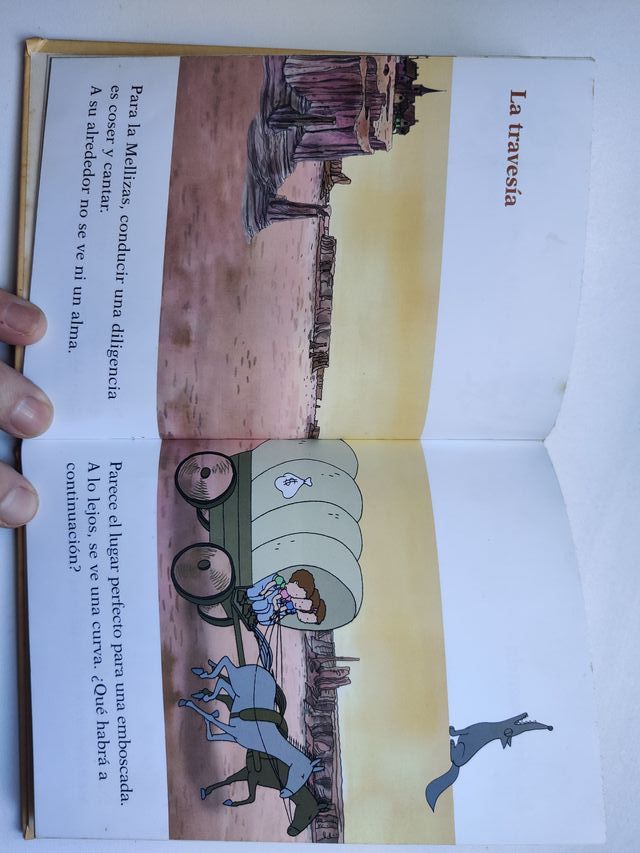 Il libro dei tre gemelli. Bill Buffalo.