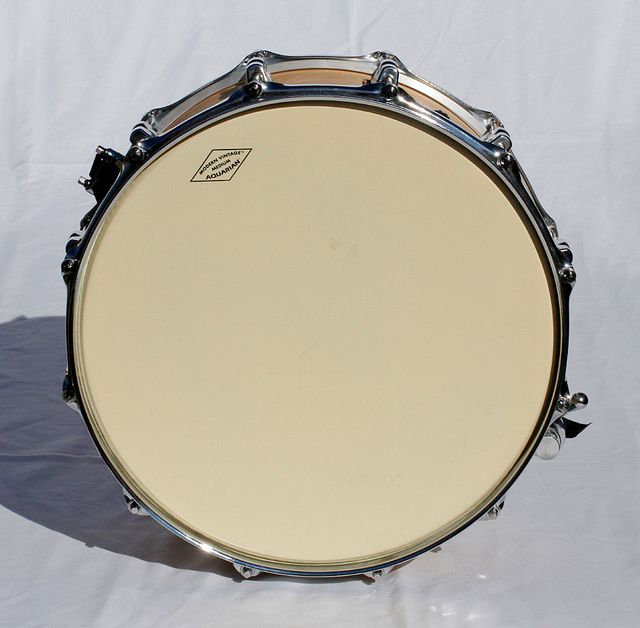 Caja de 14" con casco de arce y 12 bellotas