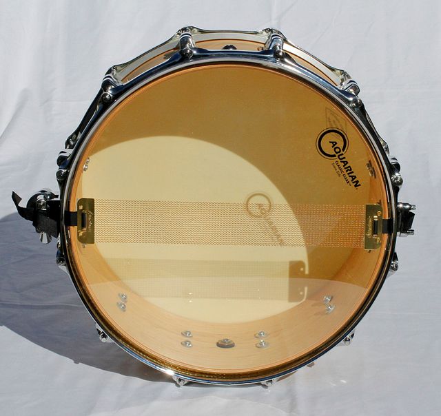 Caja de 14" con casco de arce y 12 bellotas