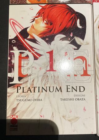 Platinum end