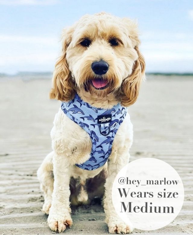 Arnés perro NUEVO (de UK) talla M Sist Antitirones