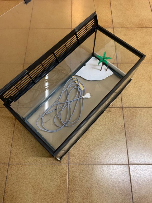 Terrario de cristal con tapa