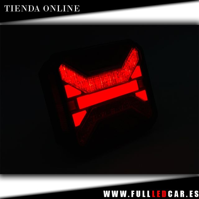 PILOTOS LED NEON TRES FUNCIONES CON LUZ MATRICULA