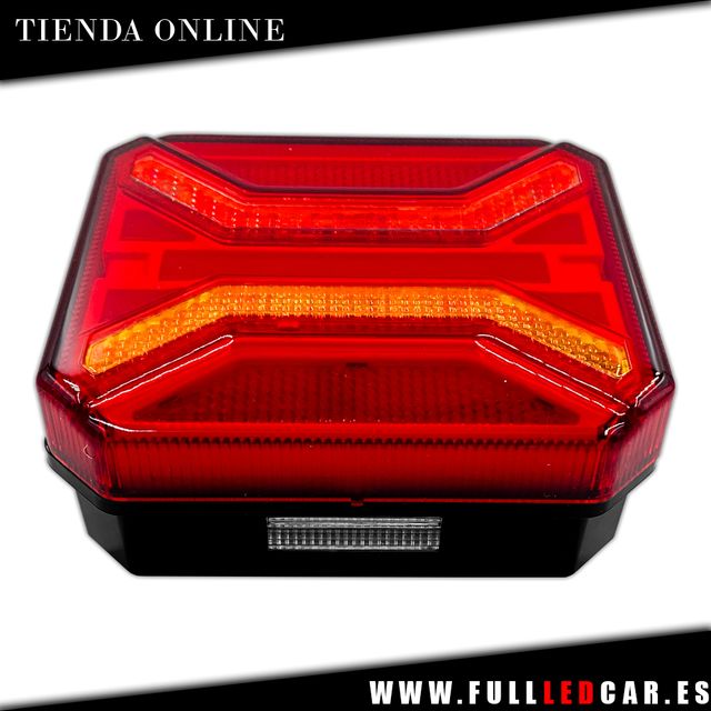 PILOTOS LED NEON TRES FUNCIONES CON LUZ MATRICULA