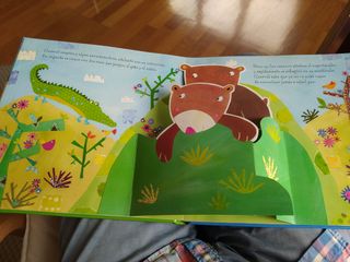 libro pop Up: ¿quieres jugar conmigo? 