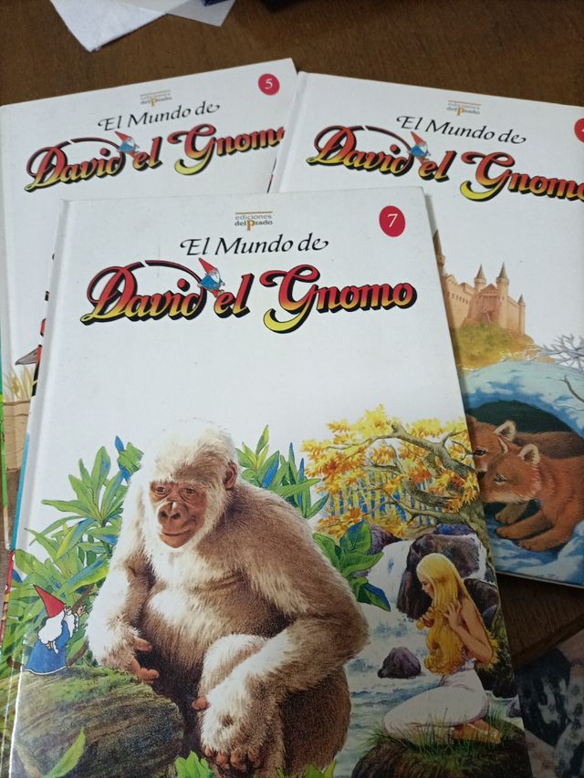 libros de David el gnomo