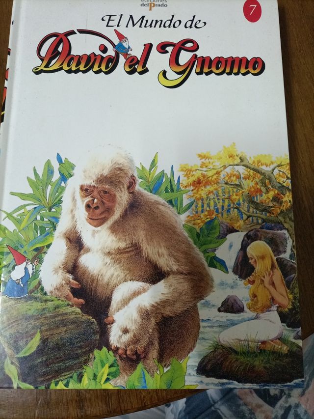 libros de David el gnomo