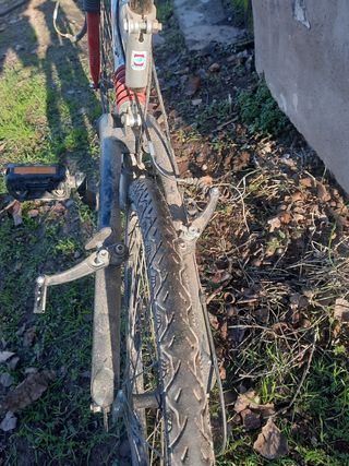 bicicleta