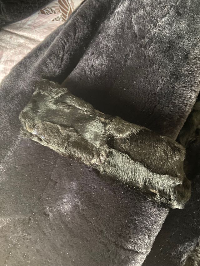 Chaquetón de muton con apliques des astracan