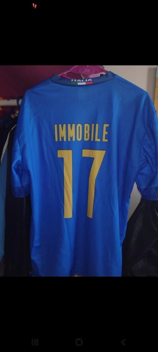 maglietta sportiva Italia