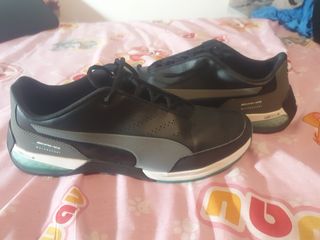Bambas puma