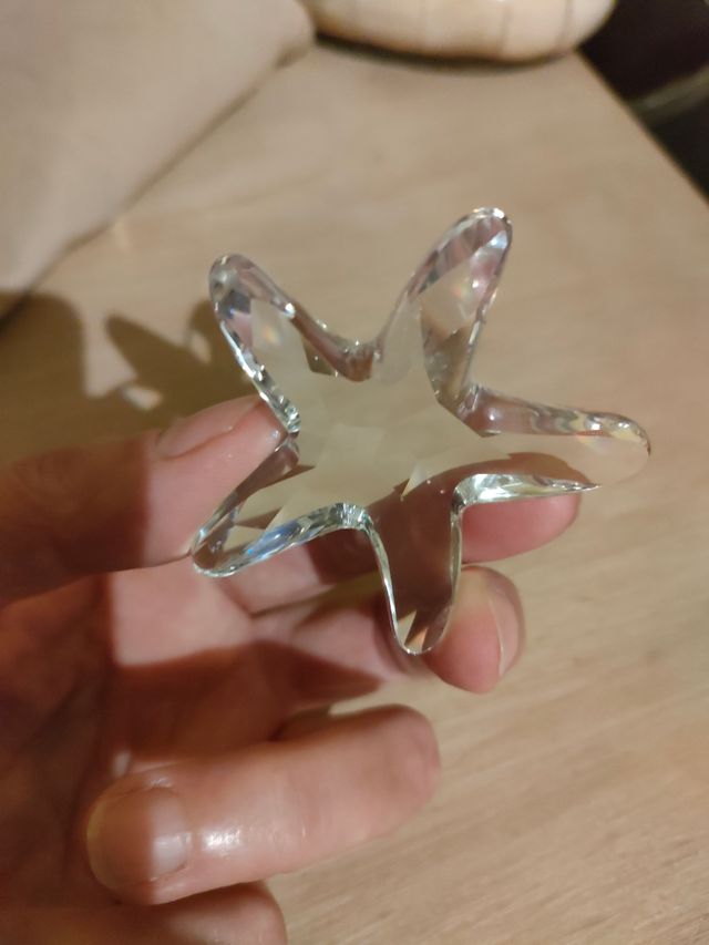 Estrella de mar Swarosvski