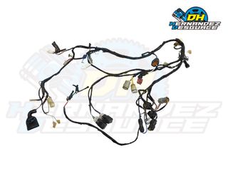 CABLEADO KFX 700