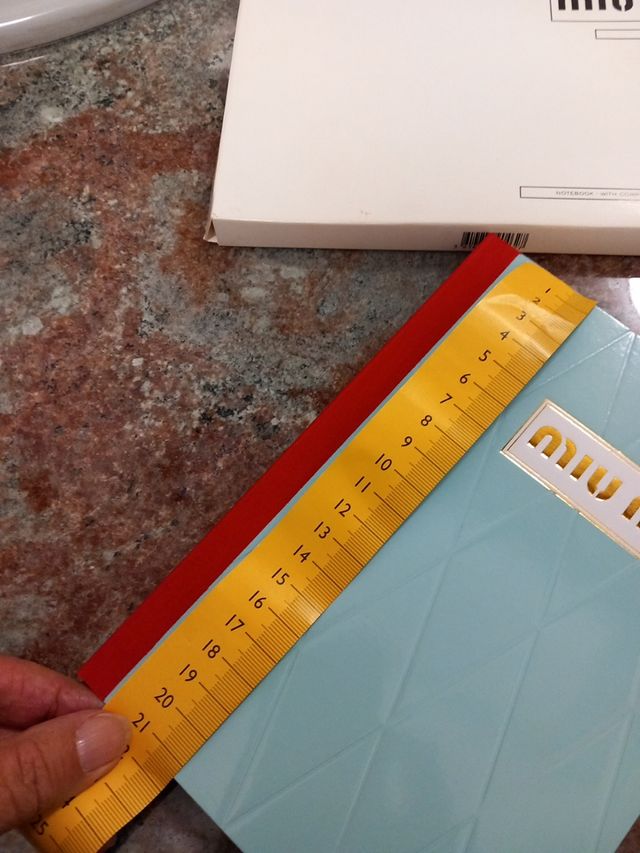 Bellissima agenda Miu Miu