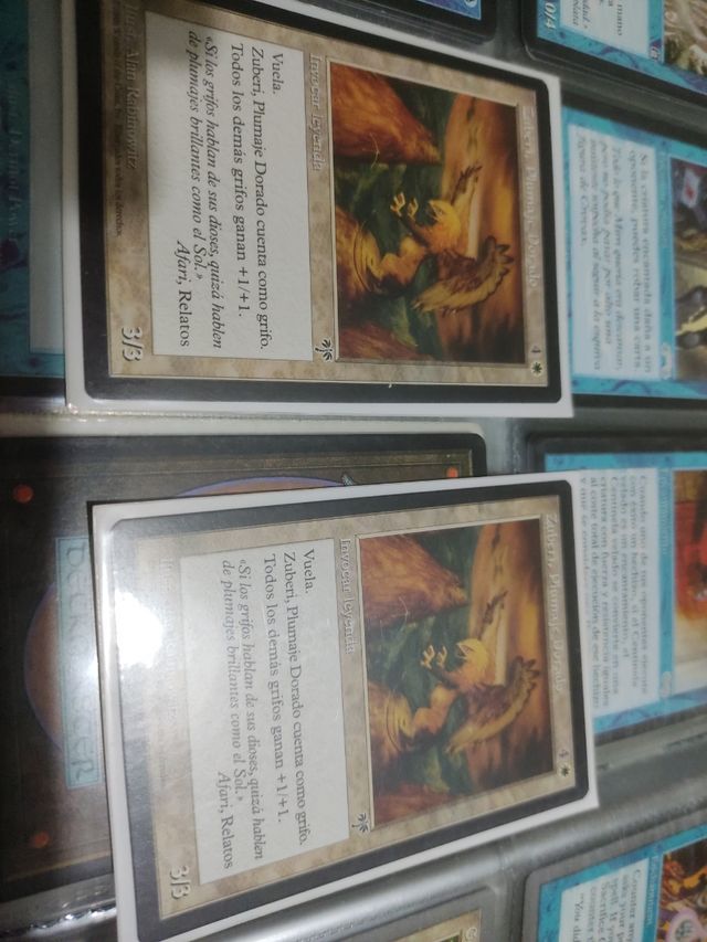 2 zuberi, plumage dorado