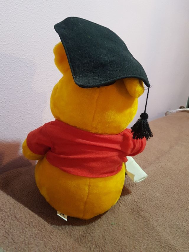 Peluche Winnie the Poo, graduado.