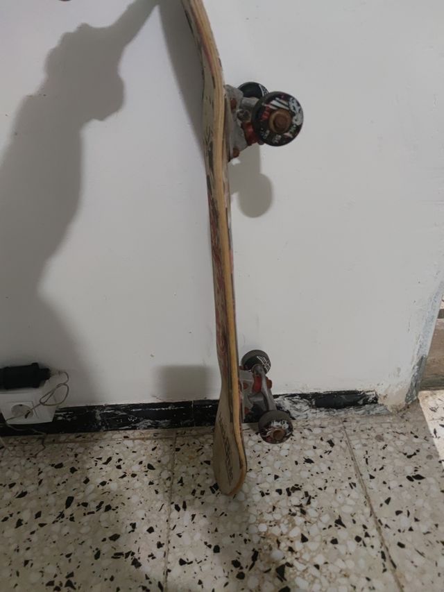 Skate o patín