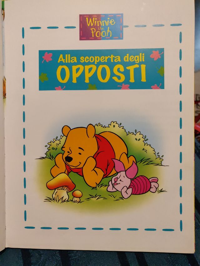 Libri collana Winnie the Pooh Disney