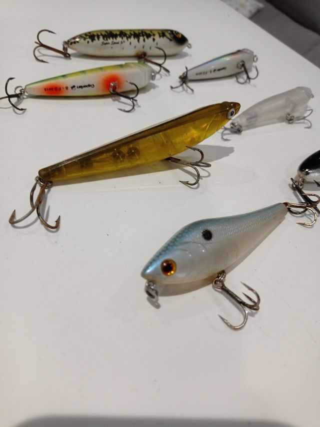 PASEANTES PESCA BLACK BASS