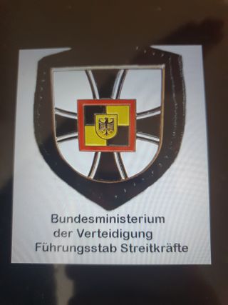 INSIGNIA MILITAR GERMANA ALEMÁN ALEMANIA PEPITO