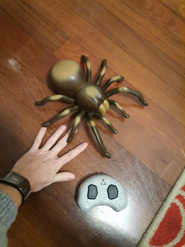 Tarántula teledirigida
