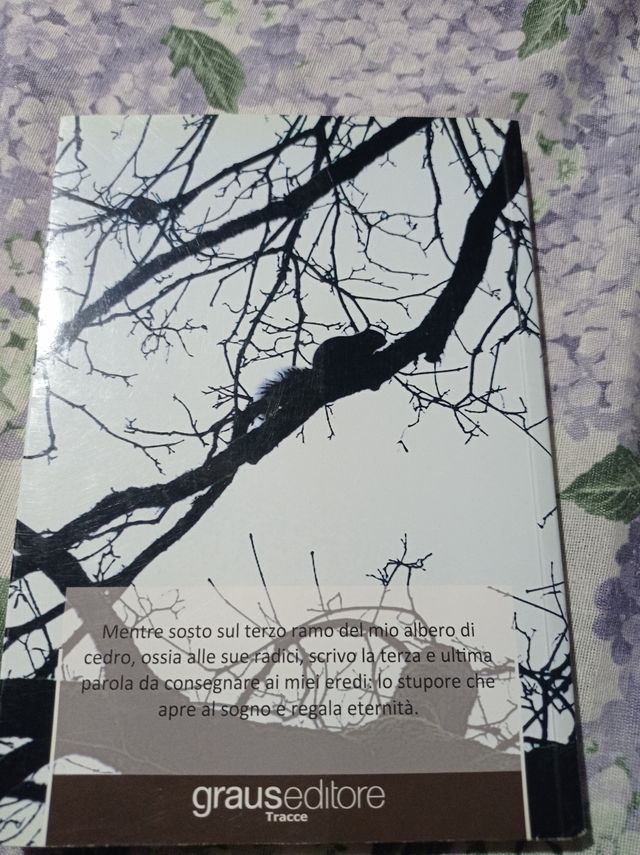 "Nica e la radice del cedro"