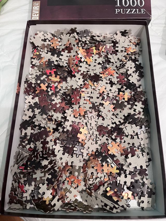 Puzzle 1000 piezas