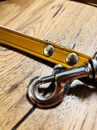 Guinzaglio in cuoio rigido 85cm