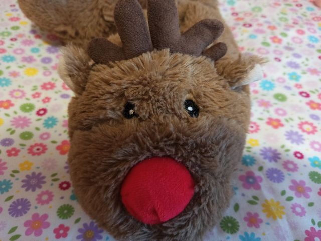 Zapatillas de casa Reno